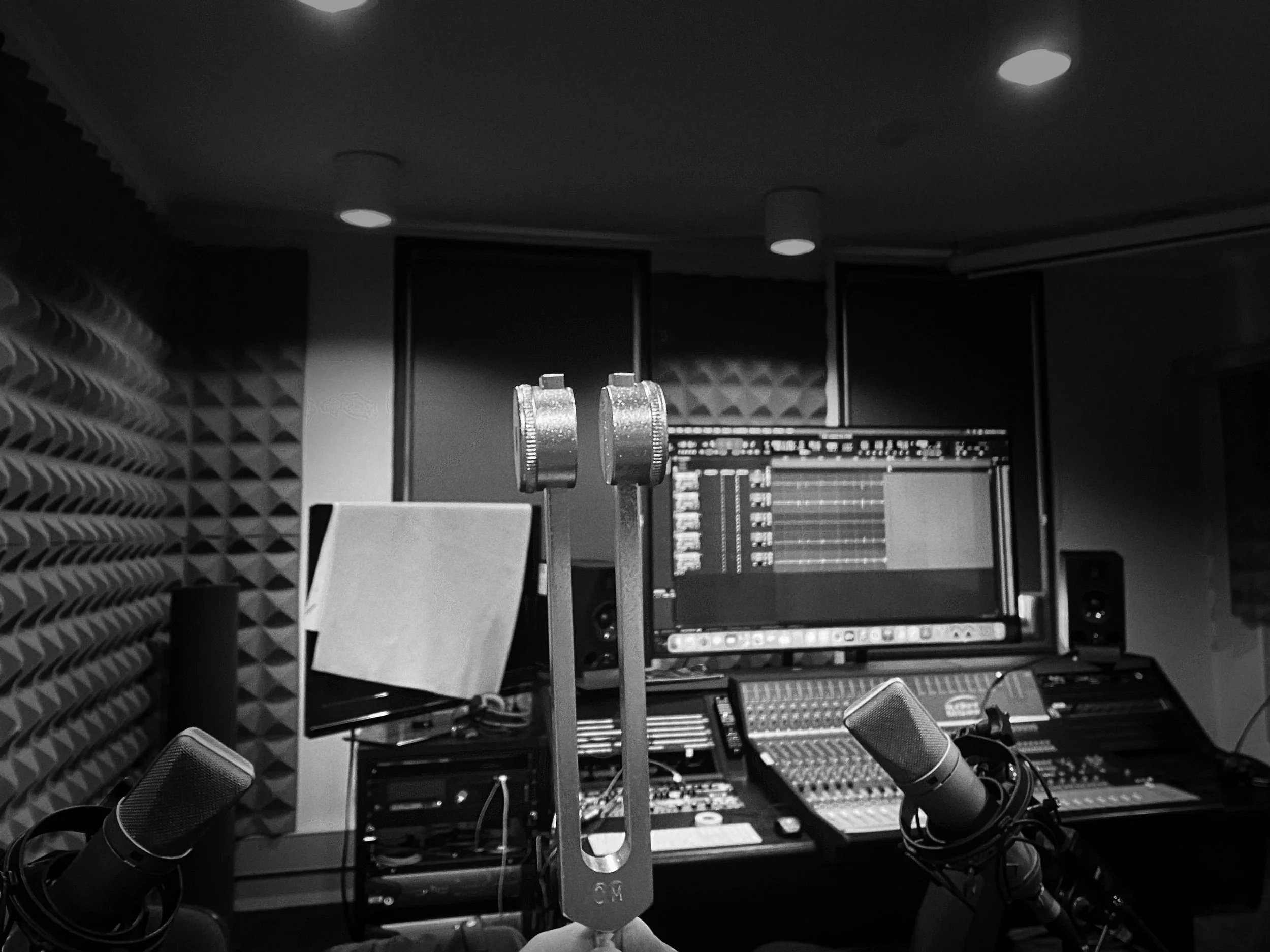 record studio mics tune fork geostar productions