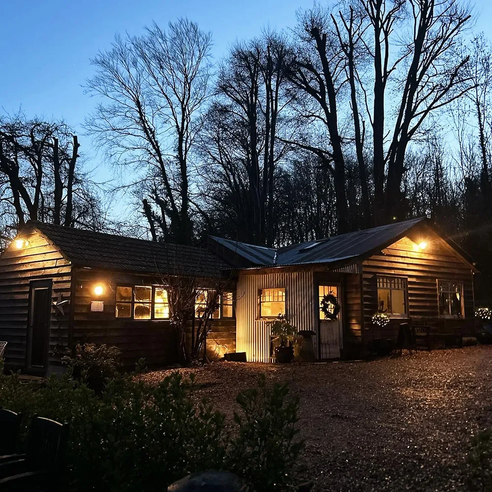 A cozy wooden house with warm exterior lights illuminating the windows and entrance, set against a backdrop of tall, leafless trees in the evening or twilight.