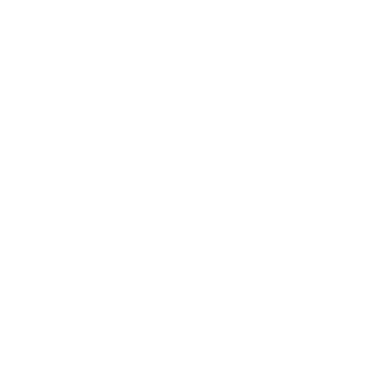 Icon of an award ribbon with a star in the center, two ribbon tails hanging down symbolizing high quality.