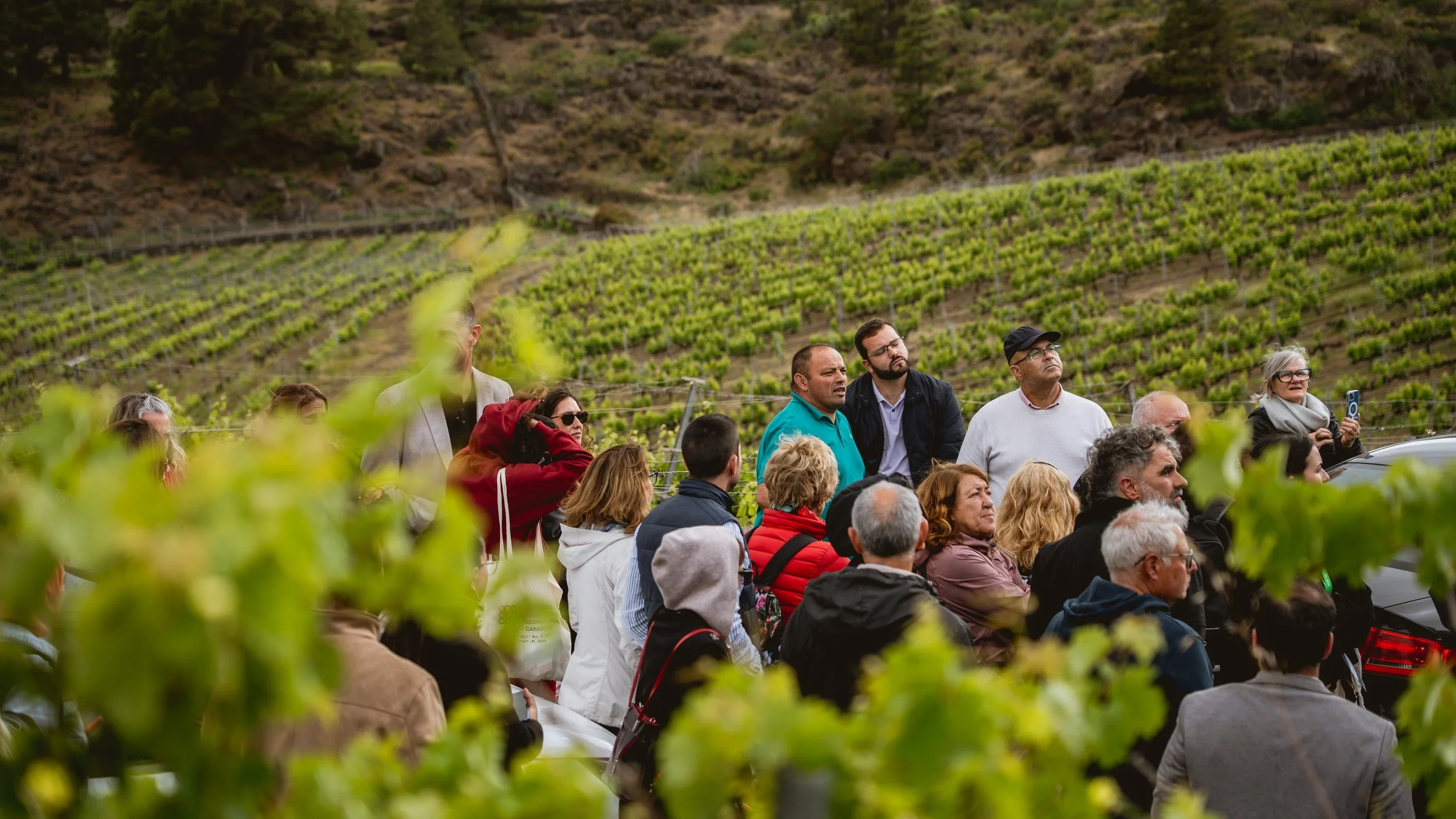 Grupo durante una visita a viñedos en el marco del XI Encuentro de Agroenoturismo de Canarias.