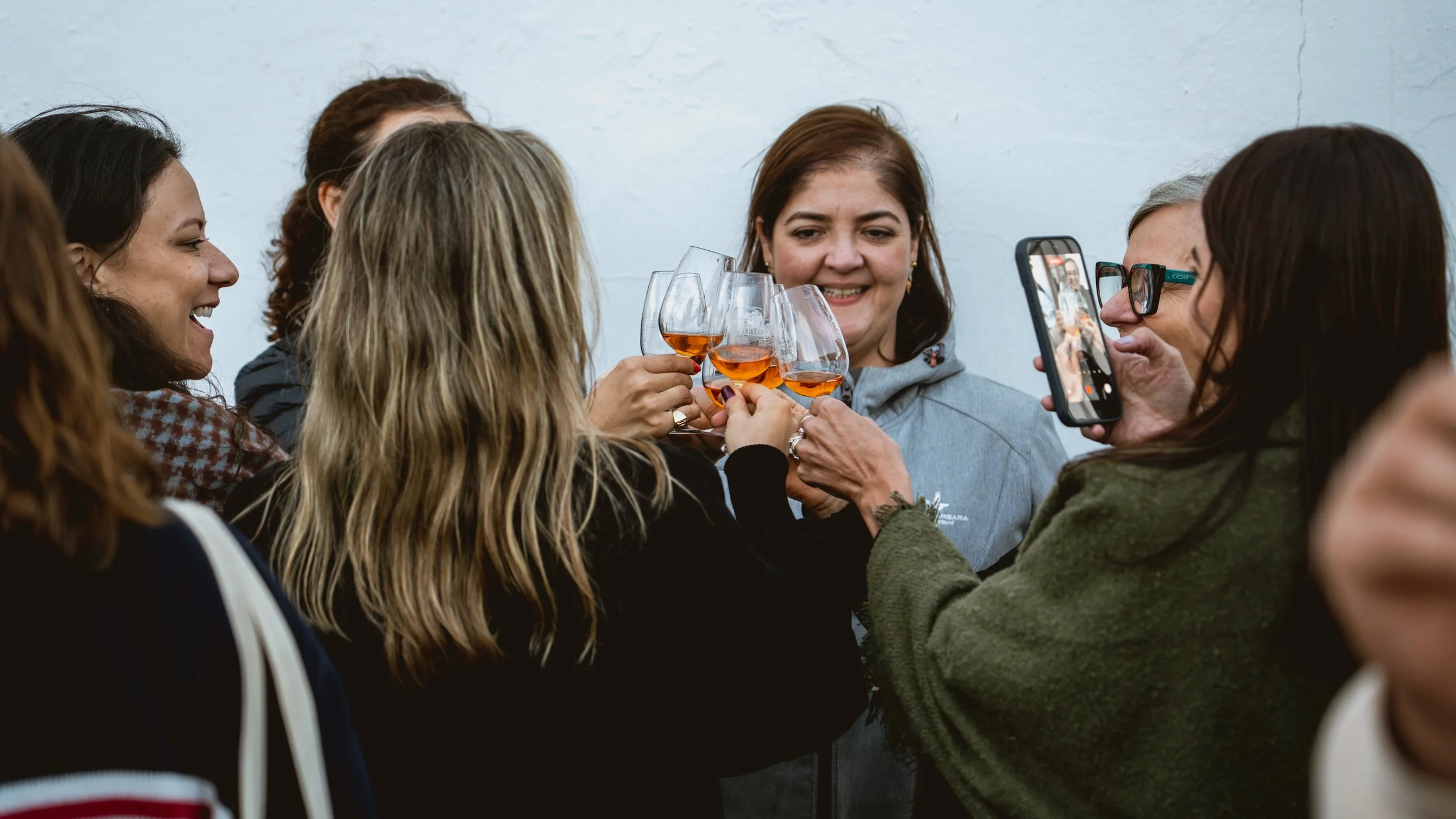 Participantes brindando con vino durante el XI Encuentro de Agroenoturismo de Canarias.