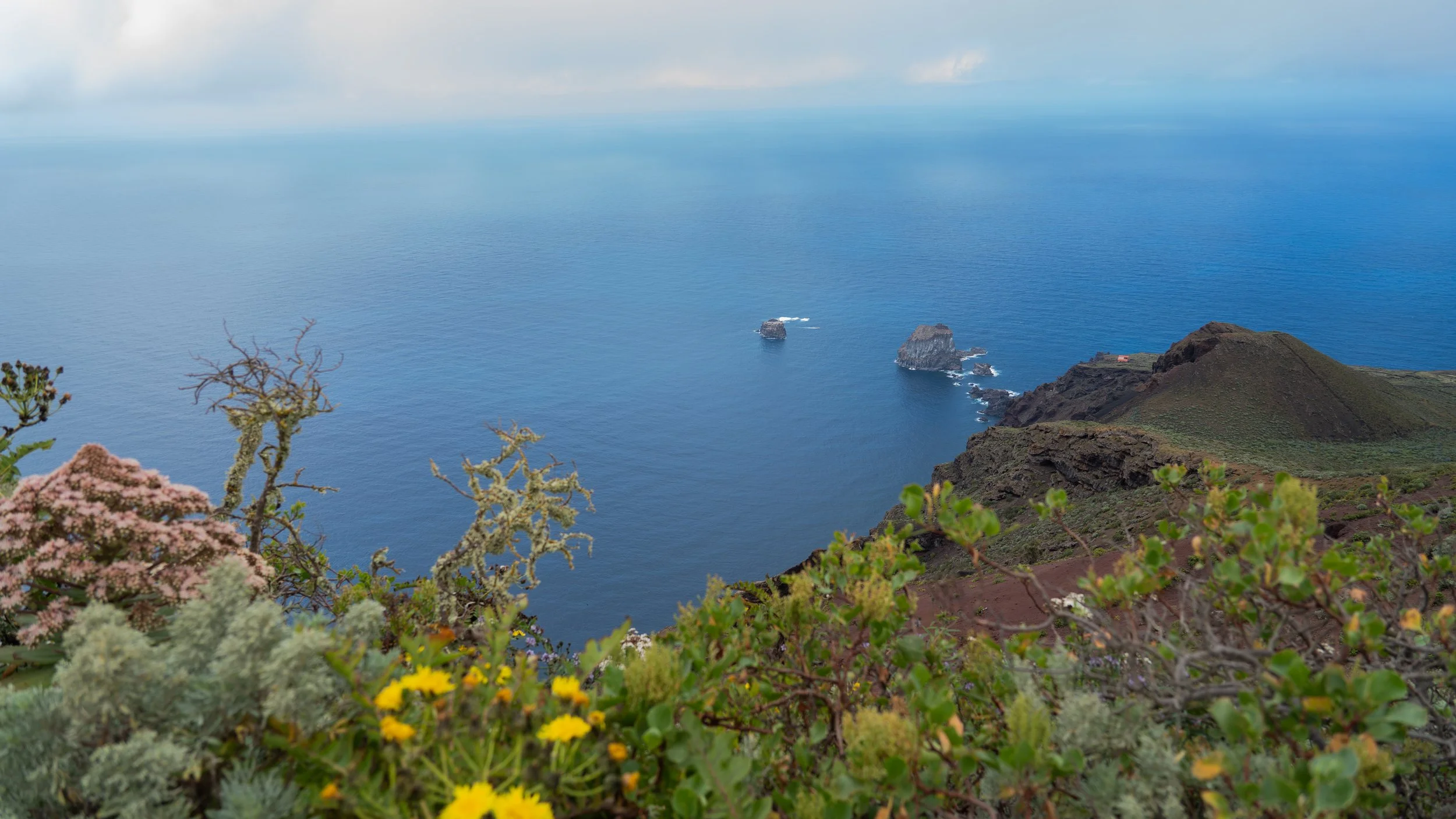 Paisaje costero y vitivinícola de El Hierro durante el XI Encuentro de Agroenoturismo de Canarias.