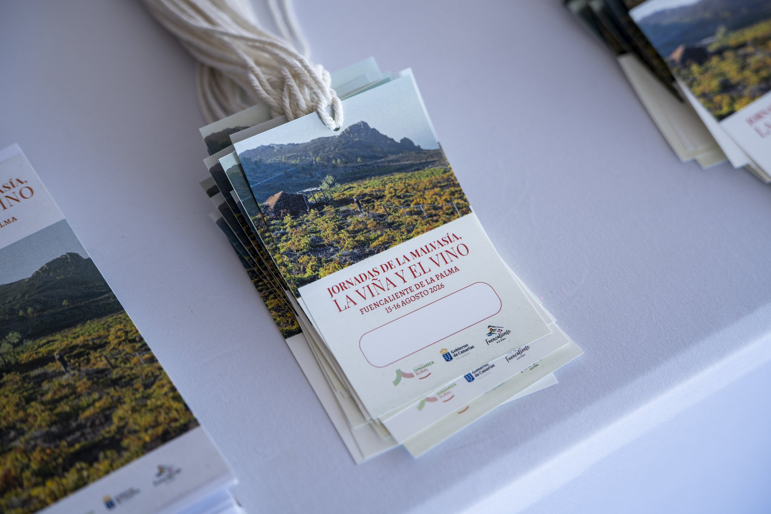Programa de las Jornadas de la Malvasía, la Viña y el Vino de Fuencaliente 2026.