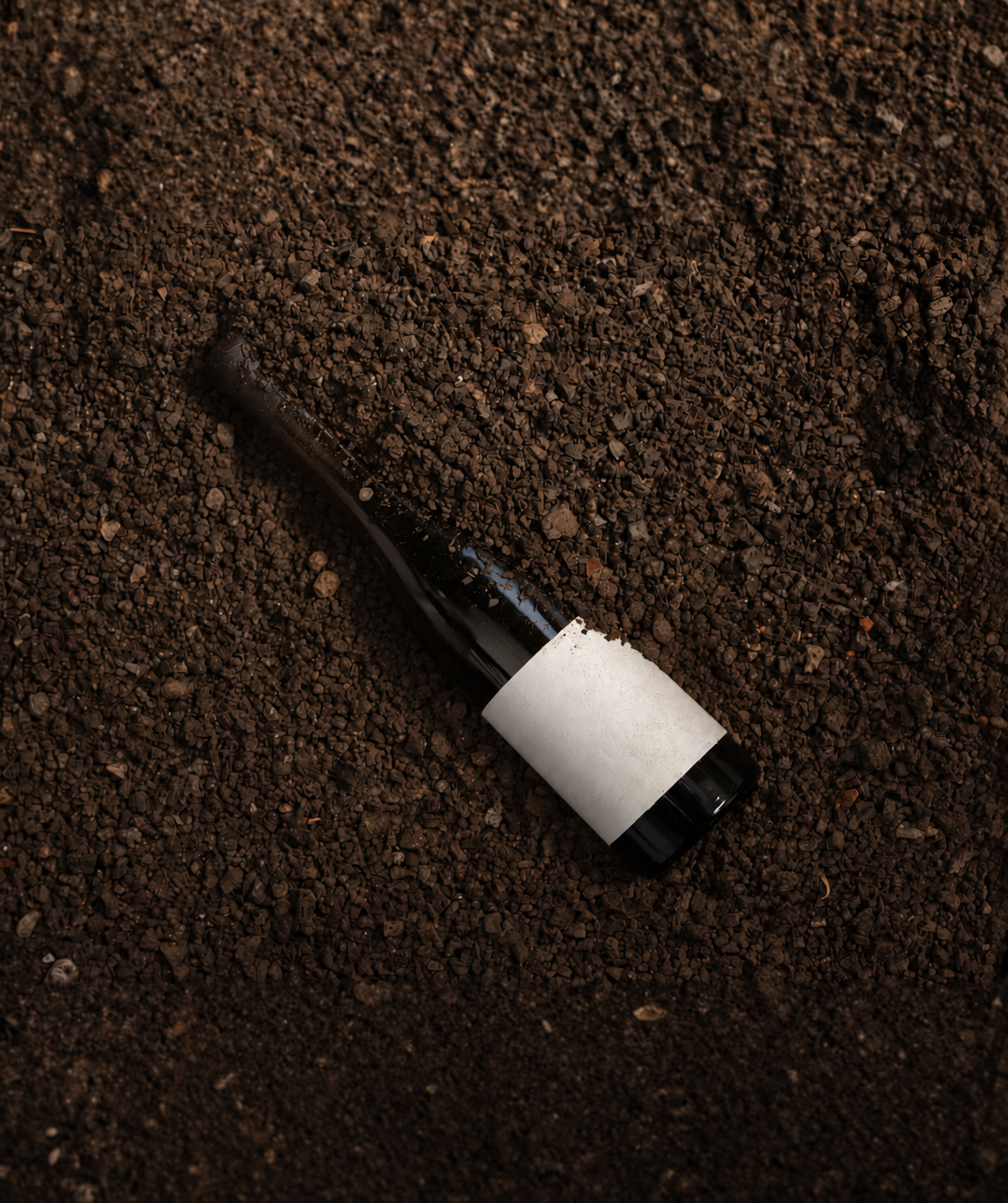 Botella de vino sobre suelo de viñedo, imagen conceptual sobre vino, territorio y capital cultural.
