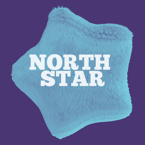 Fuzzy Goals -  NORTH STAR