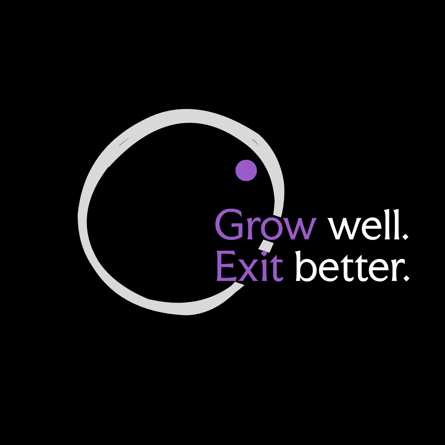 Grow well, Exit better. MarLi Advisory for Business Owners