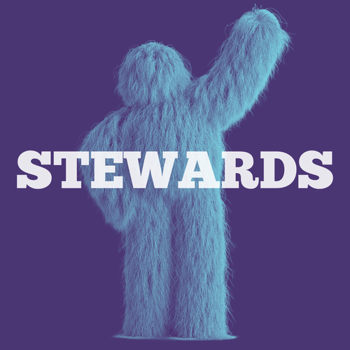 Fuzzy Goals -  STEWARDS
