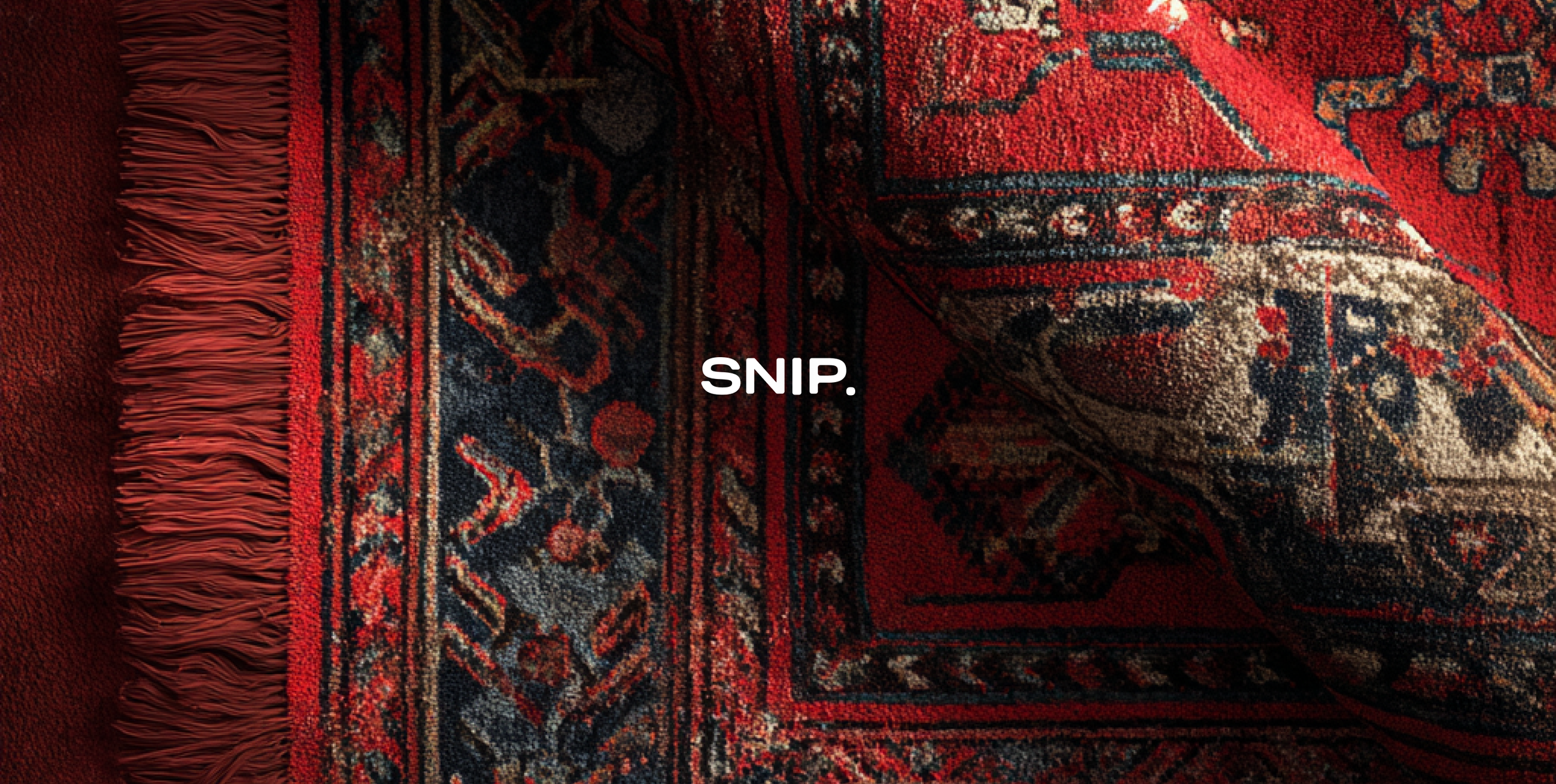 hero_snip branding.png