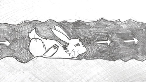 movie-frames4.gif