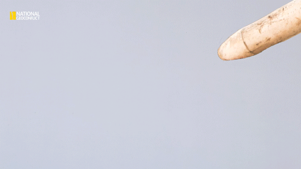 Screen-Recording-2026-09-17-at-20.51.03.3.gif