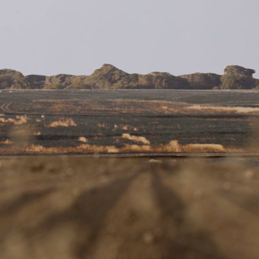 Frame 1851042799.png