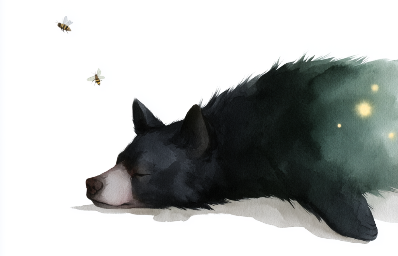 yom asal_other sketches-1.png
