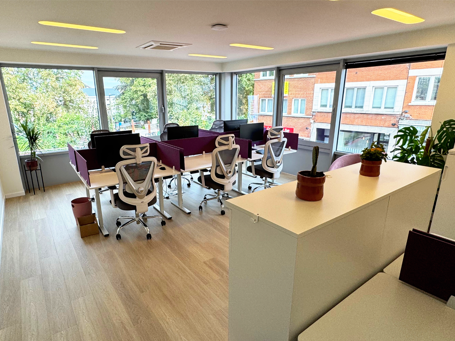 Large office space with big windows, ergonomic chairs, desks with dividers