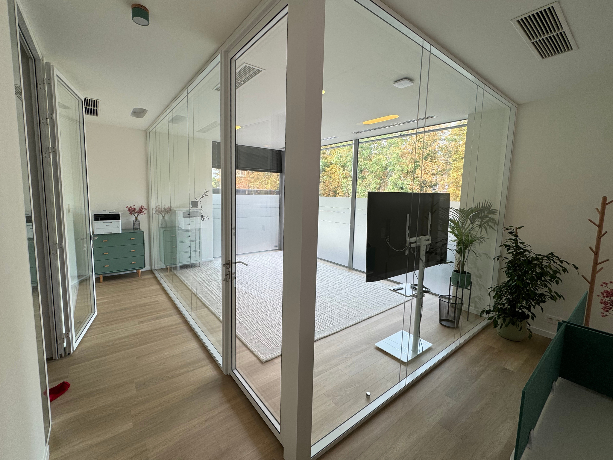 Room with large glass walls, a TV, a green dresser, and plants inside an office or modern living space.