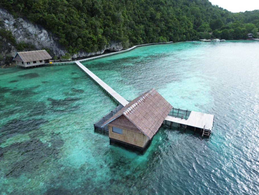 Overwater bungalow with a walkway connected to a dock, surrounded by clear turquoise water and lush green forested hills in the background.
