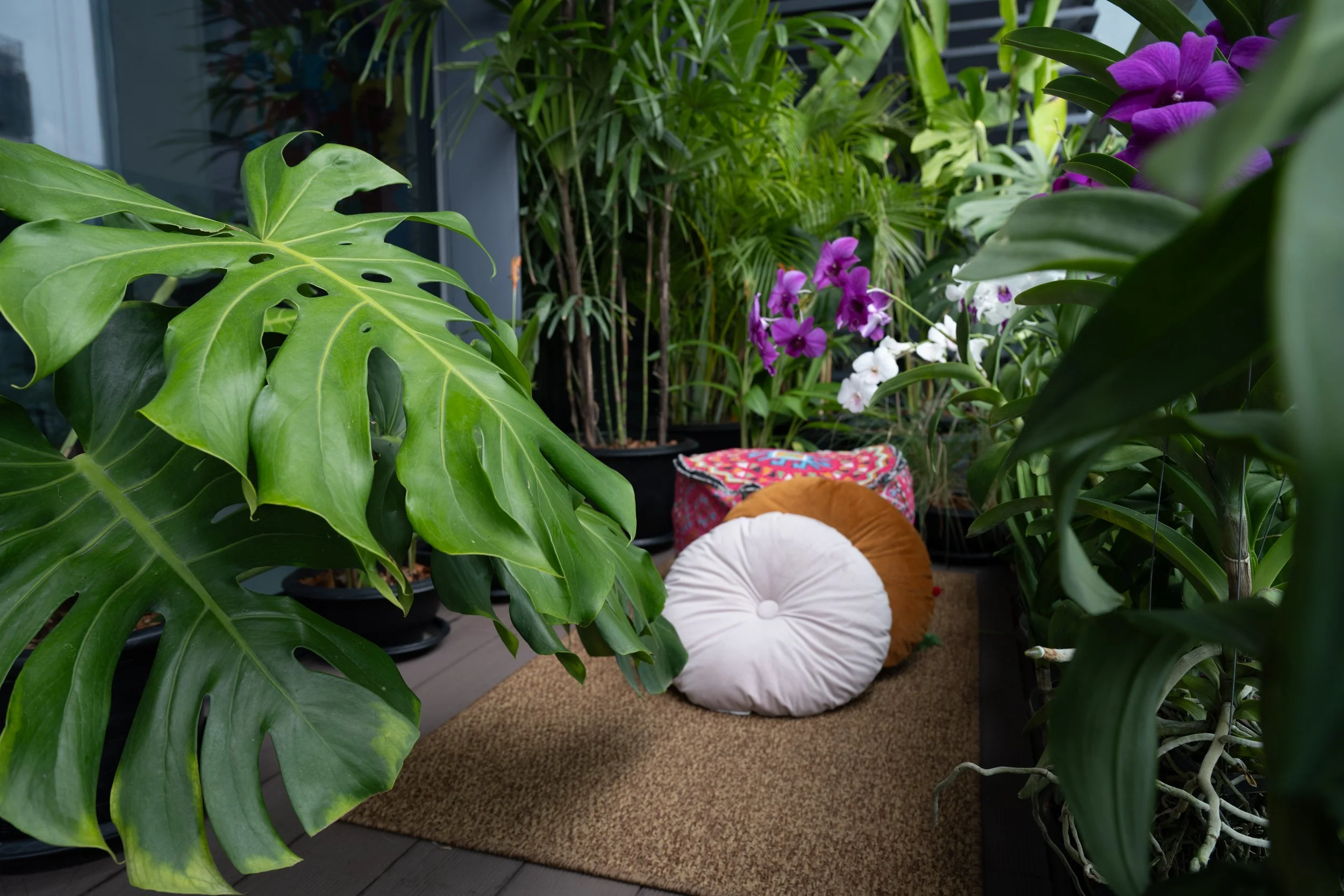 Quiet balcony corner with velvet floor cushions and an embroidered pouf, surrounded by palm trees, monstera plants and orchid flowers