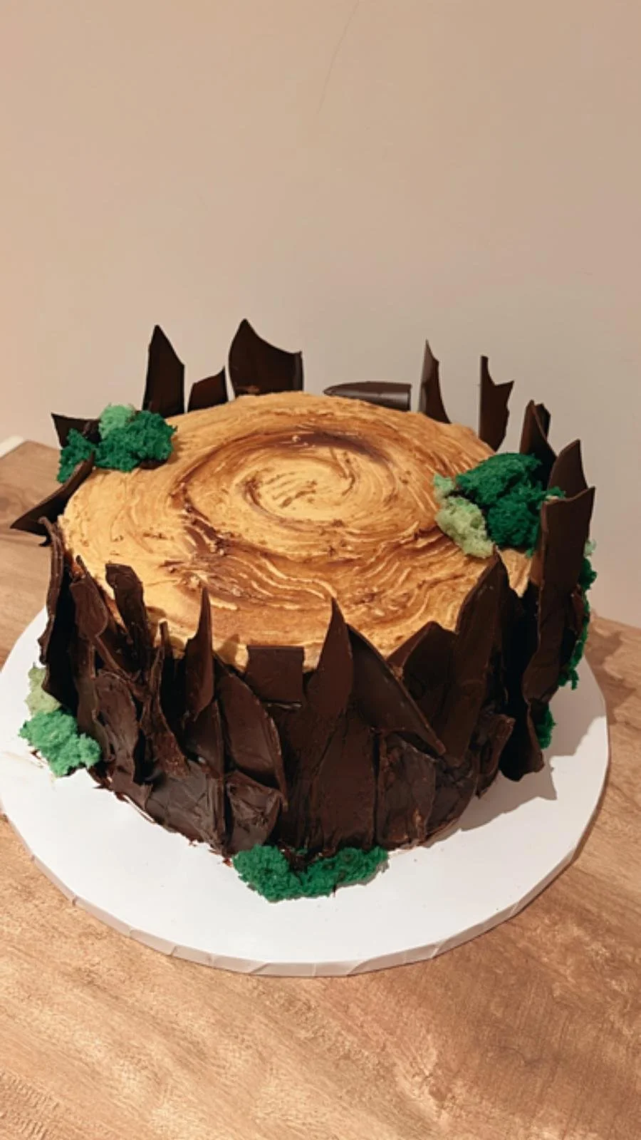 Woodland tree-stump cake with chocolate bark