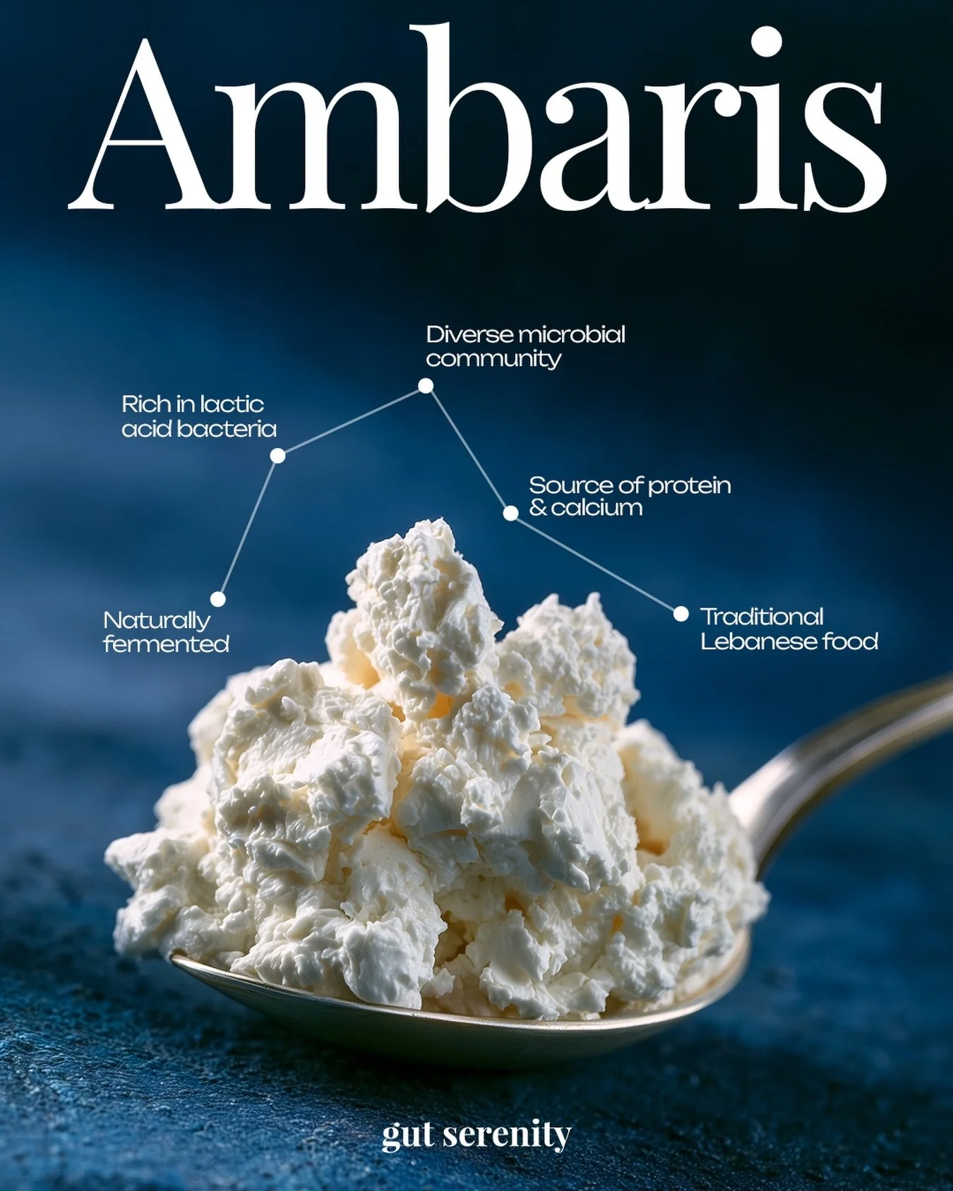 Let&rsquo;s talk about Ambaris 🐐

Ambaris is a traditional Lebanese fermented dairy product made from goat&rsquo;s milk through spontaneous fermentation.

What makes it particularly interesting? Its microbial community.

Studies analyzing Ambaris fo