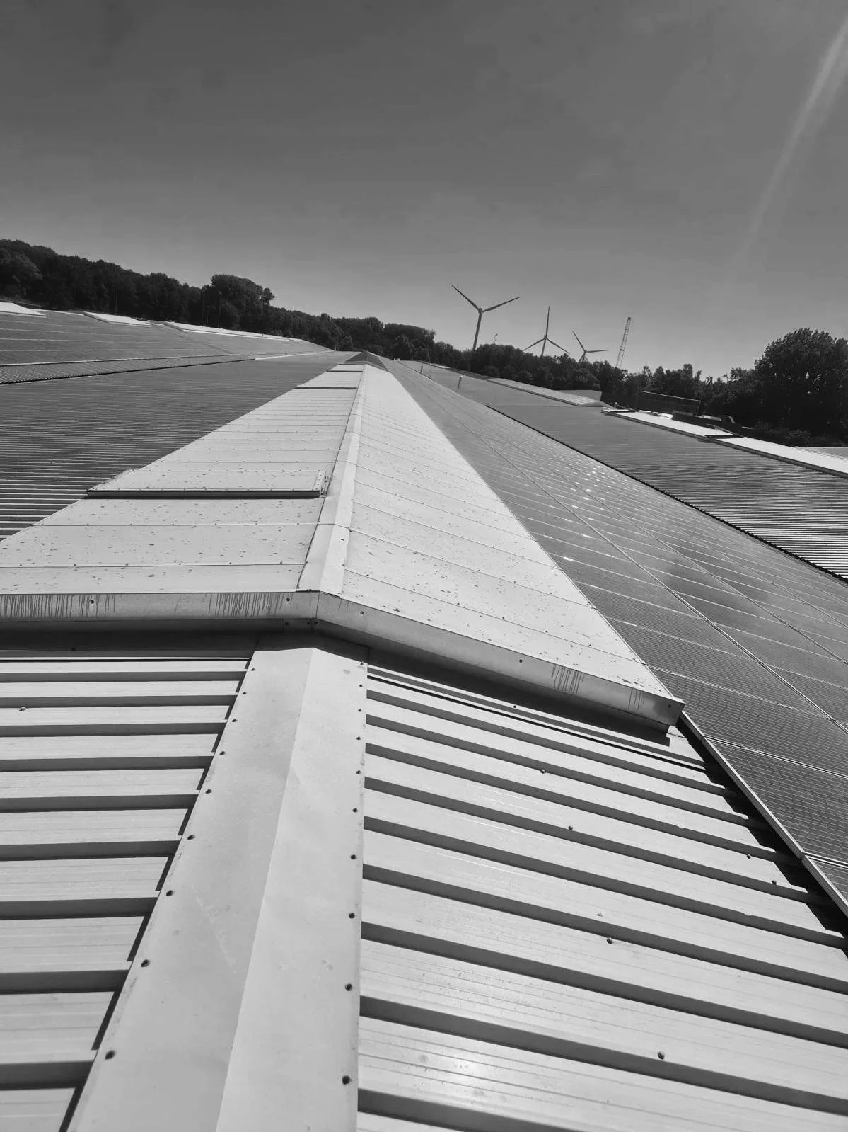 Zwart-wit foto van een plat dak met windmolens op de achtergrond en een kraan, onder een heldere lucht.