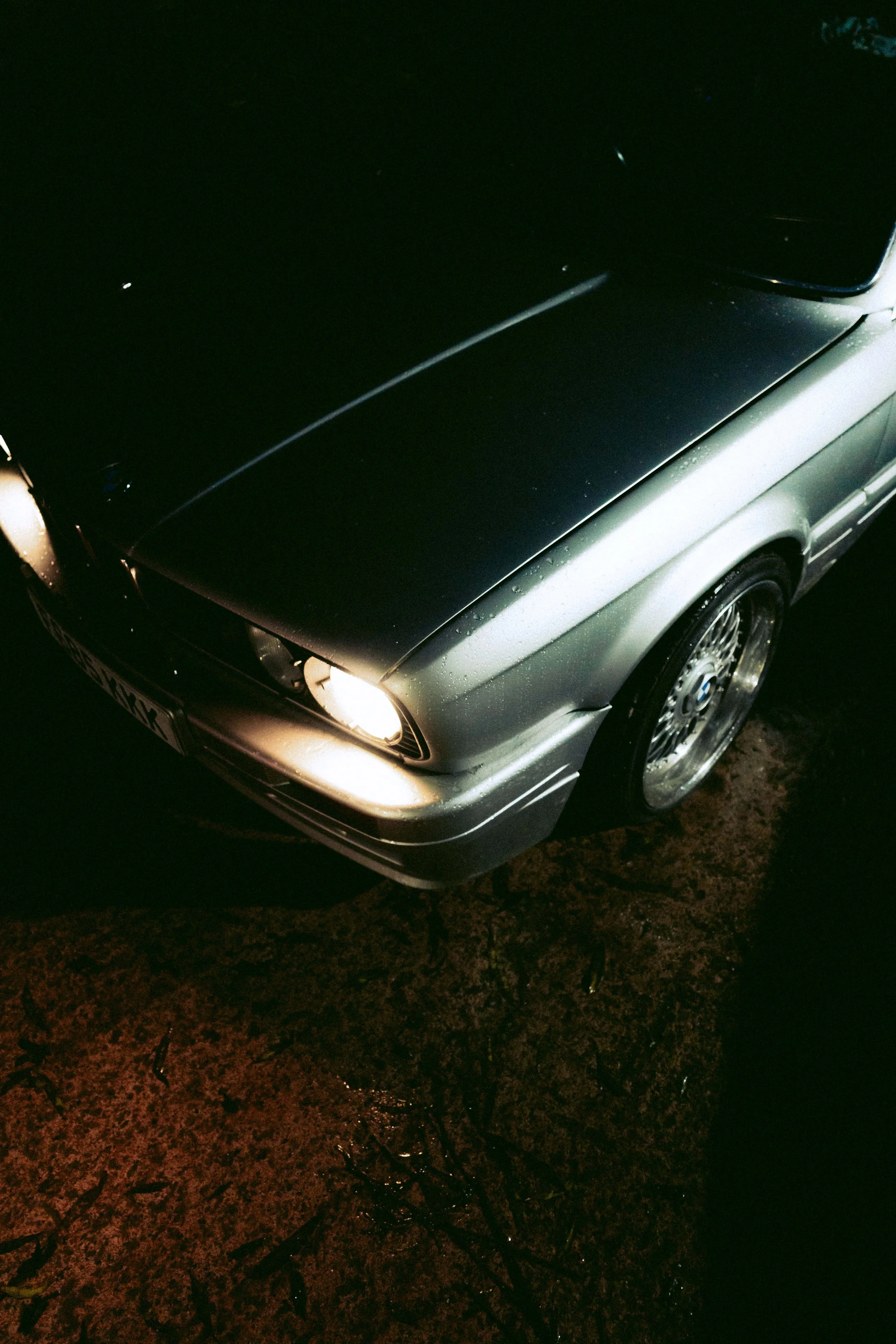 ap.daly-15.jpg