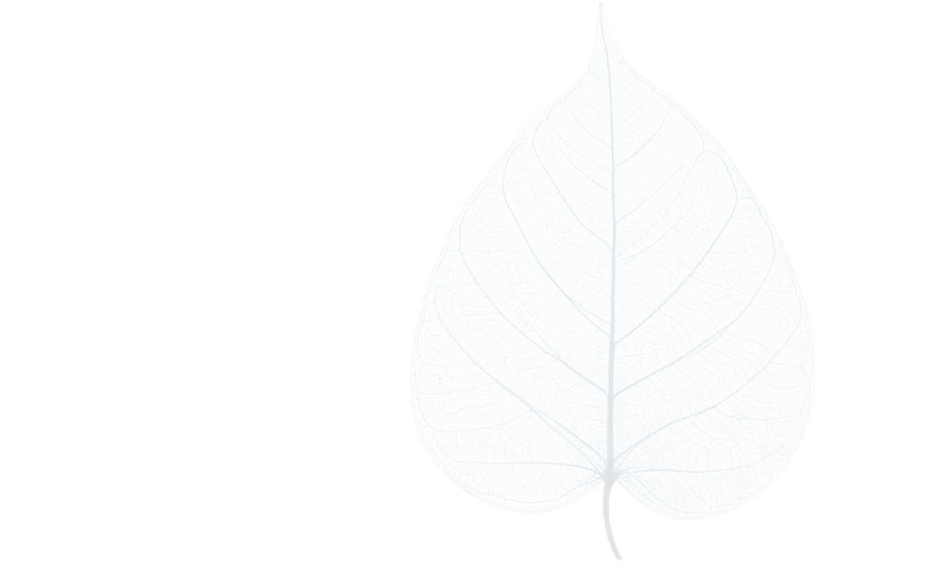 A leaf relief showing nature's vein patterns as background