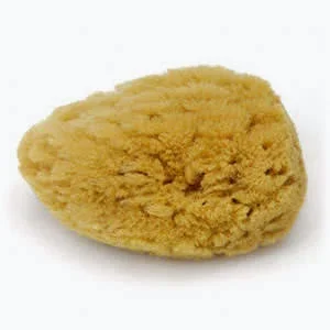 Sea Sponge Exfoliate