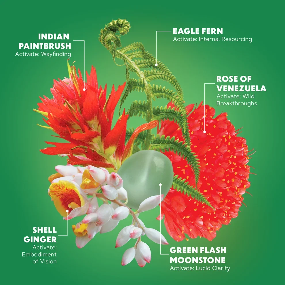 Inner Knowing Flower Elixir