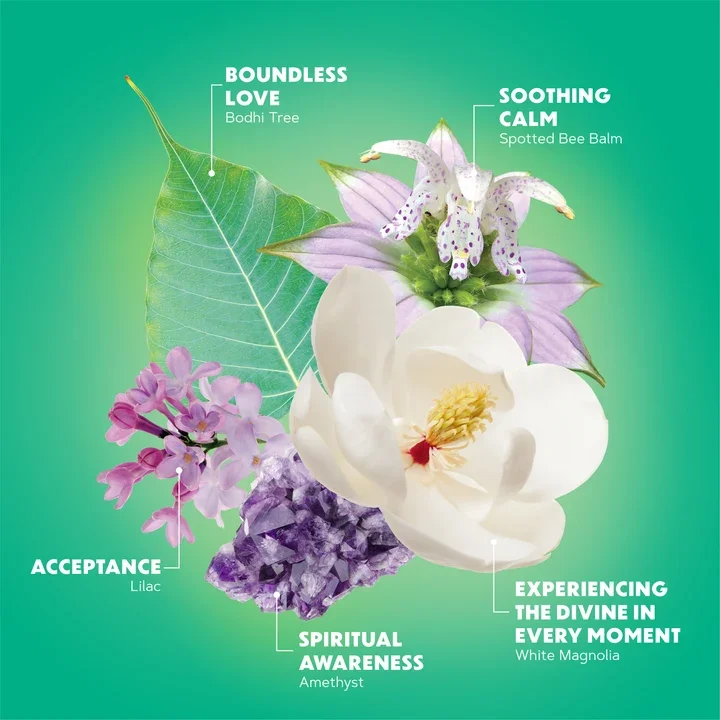Boundless Wisdom Flower Elixir
