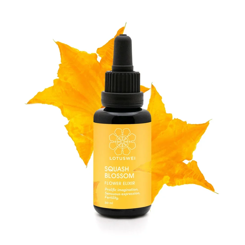 Squash Blossom Flower Elixir