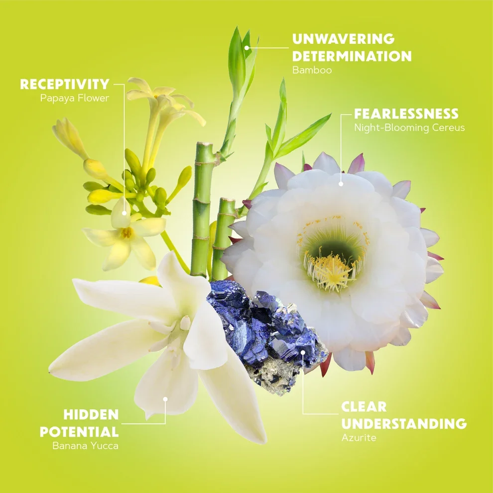 Full Bloom Flower Elixir