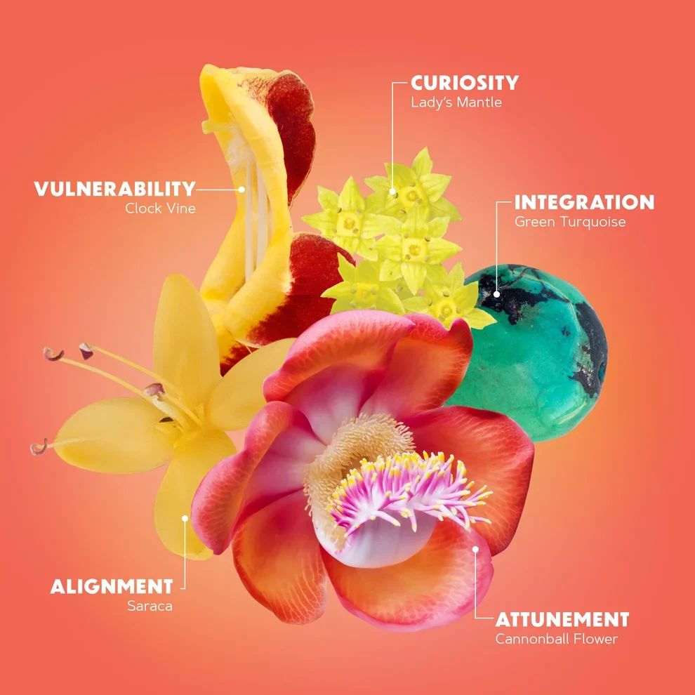 Open Heart Balancing Serum