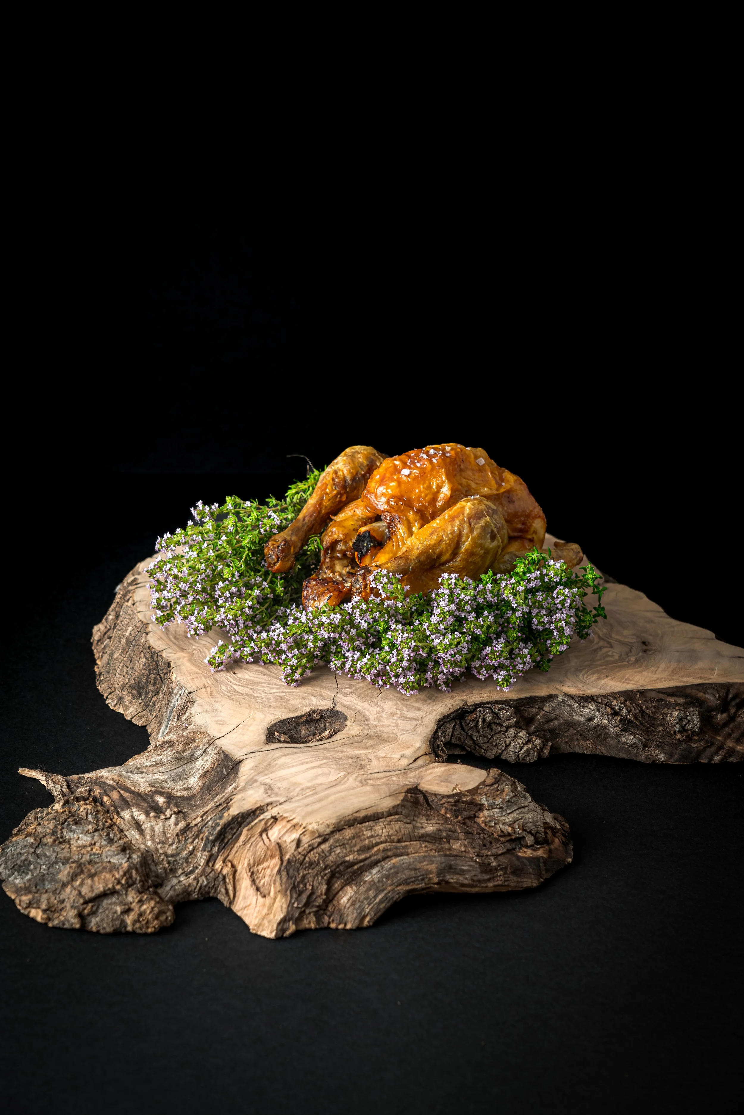 Culinary Art