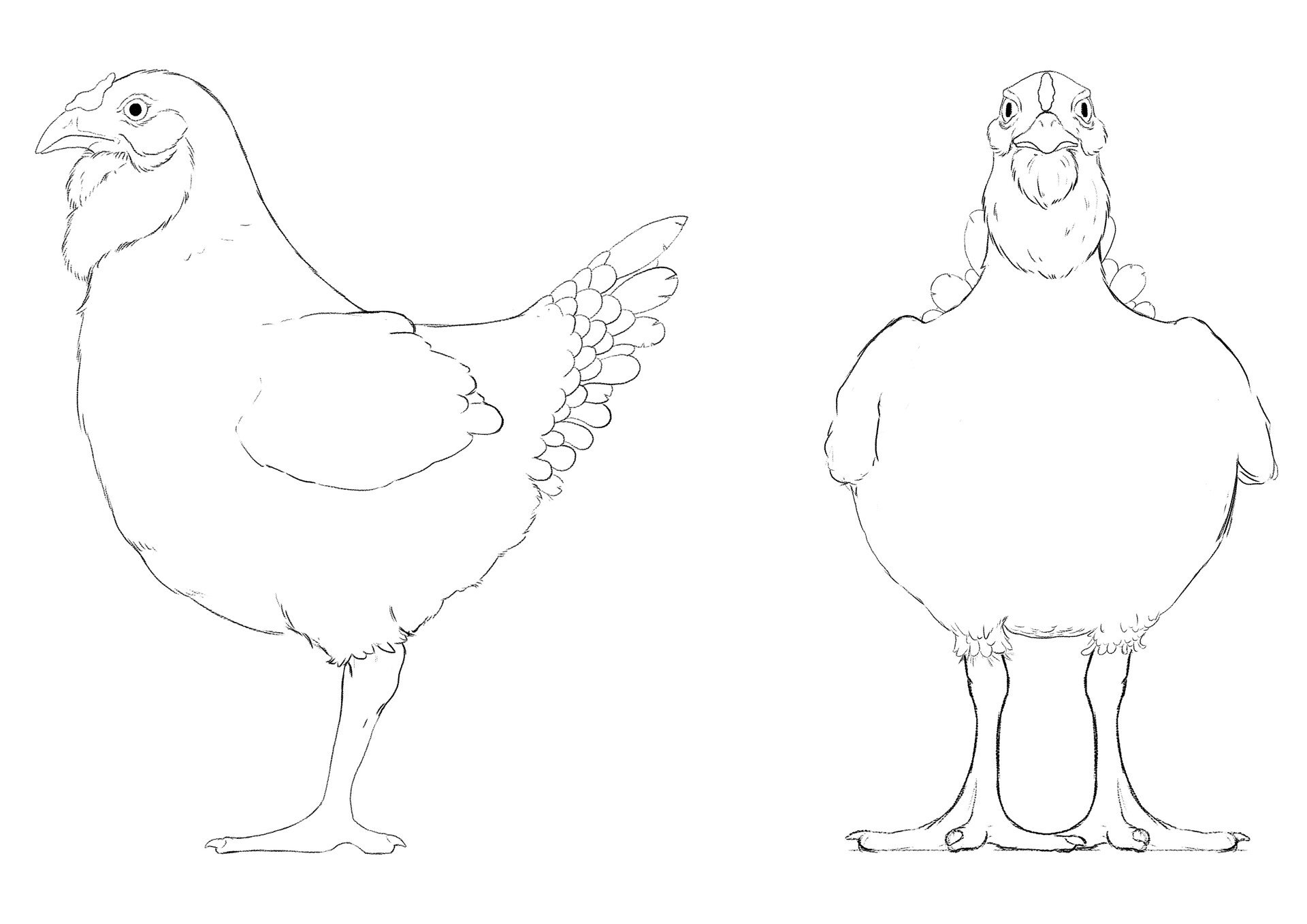 Line drawing of a bird with feathered tail and crowned head in profile view on the left, and a front view of a bird with a beak, feathered head, and standing legs on the right.