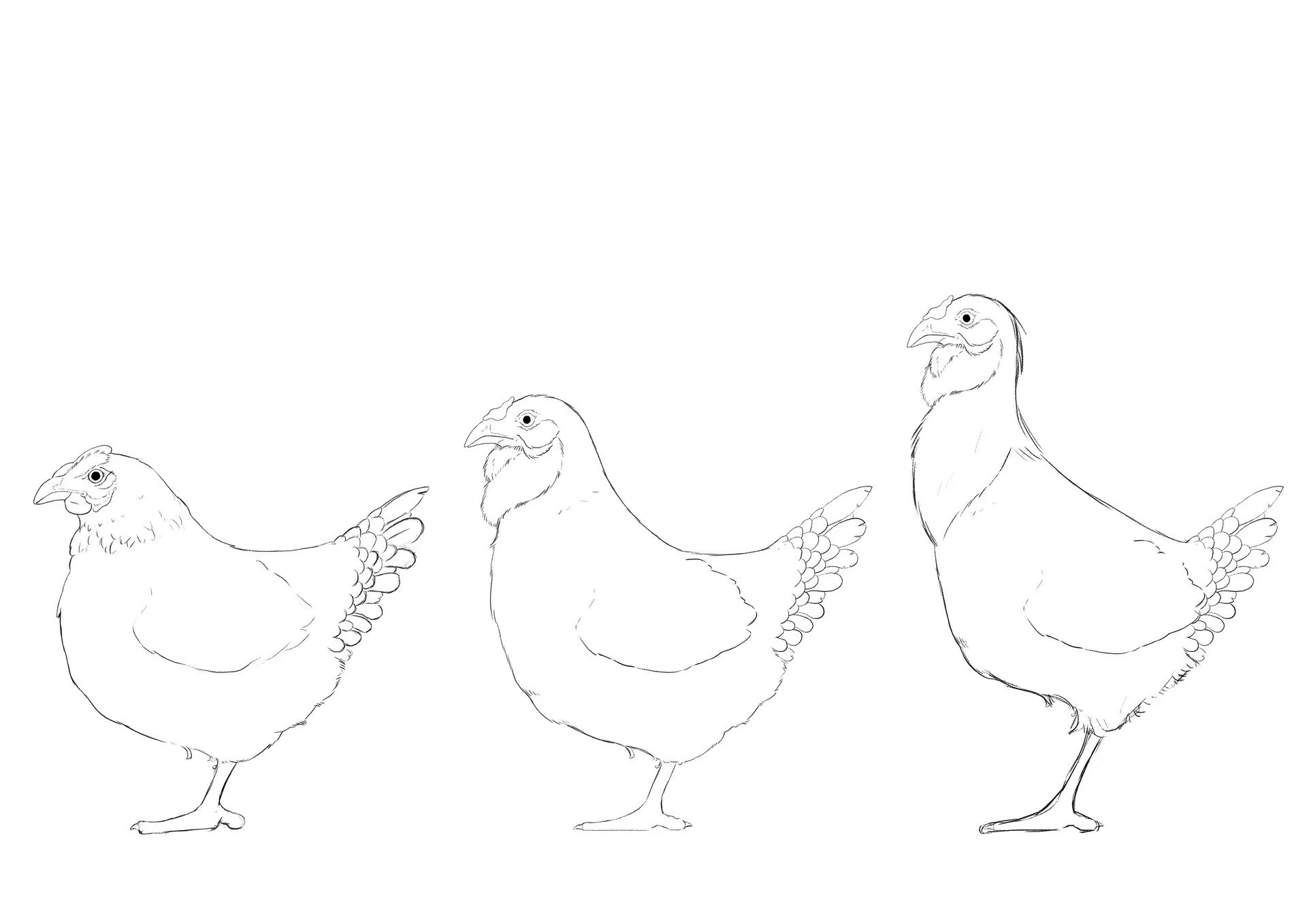 Line drawing of three chickens standing in a row, facing left.