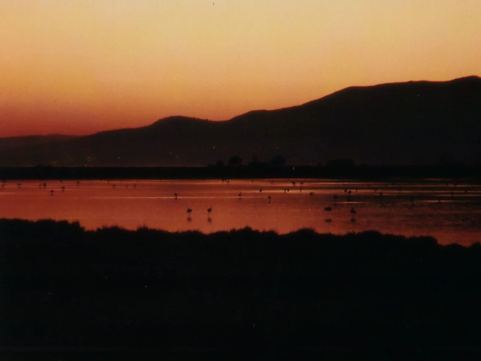RNI-Films-IMG-E2CA7B4A-35B3-43F9-88D0-EFB2C4540876.jpg
