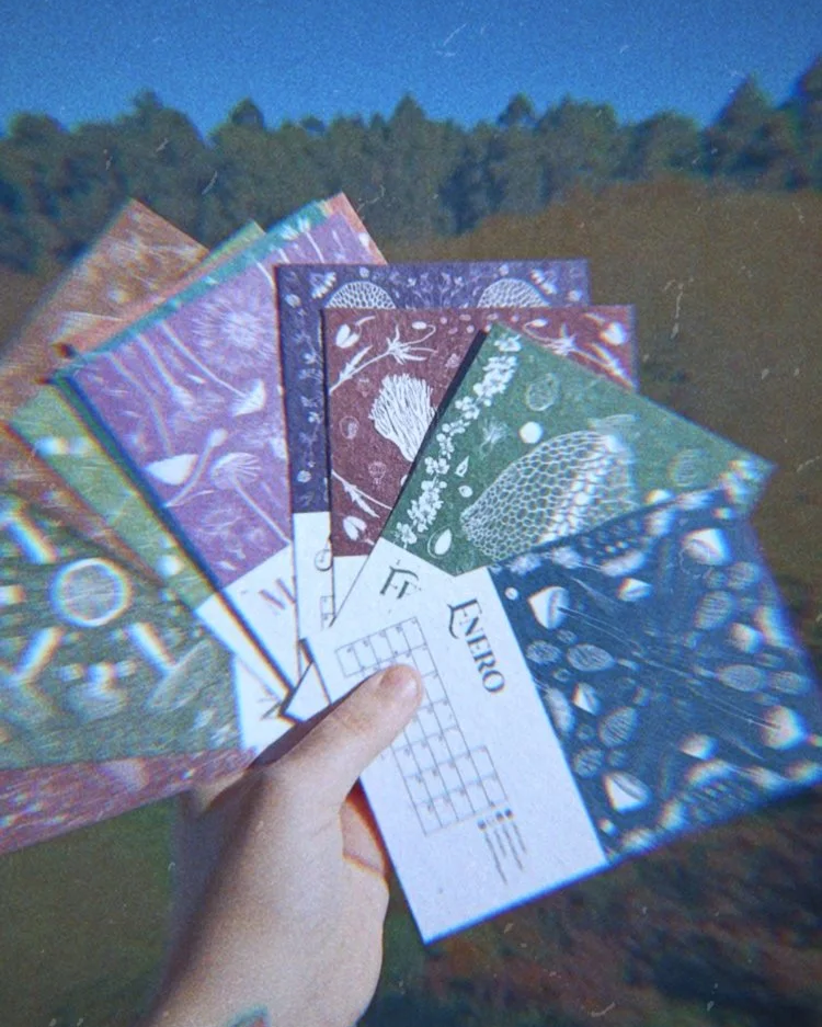 RNI-Films-IMG-B56AEBE8-DEA9-41AA-AA8C-58CE9AF6CB60.png