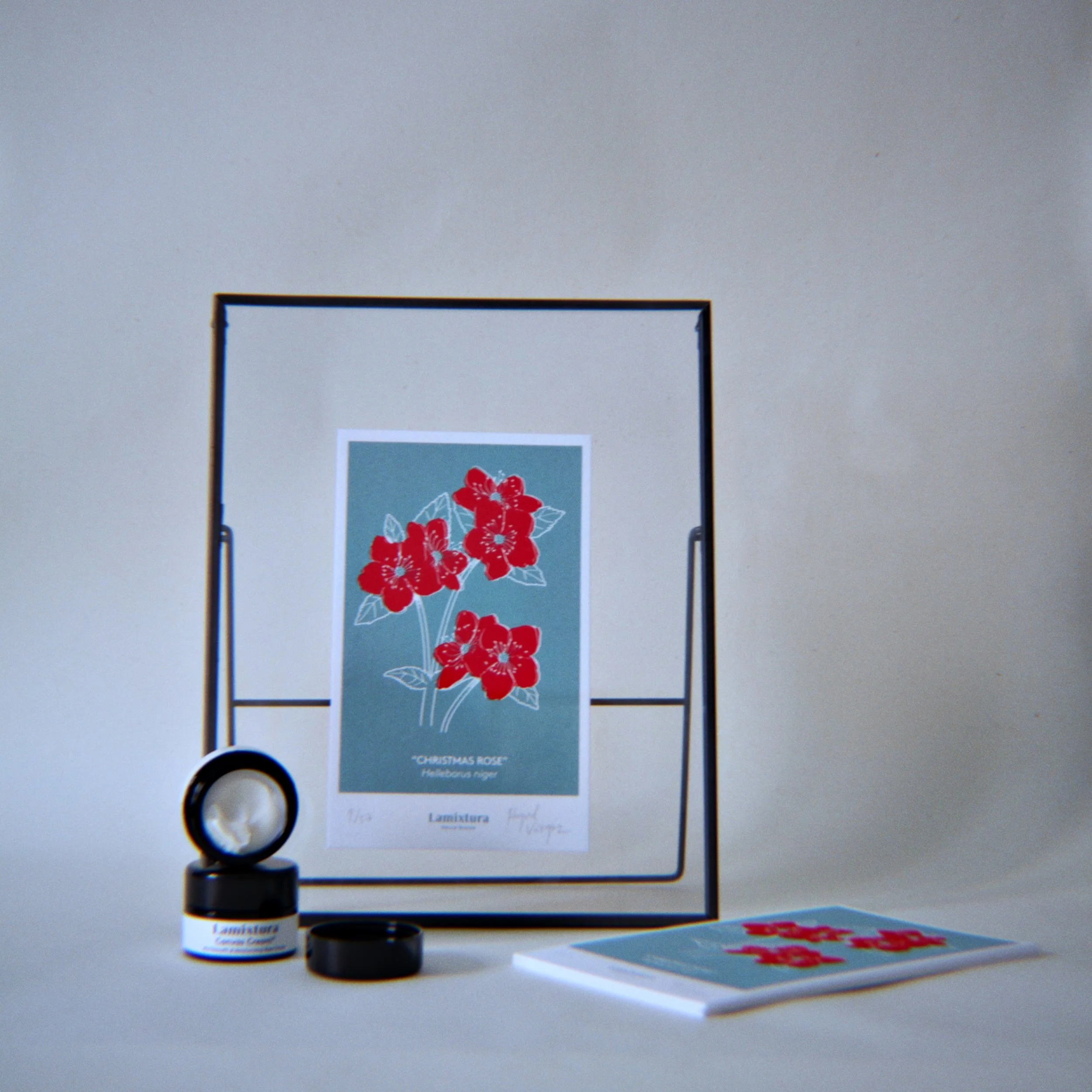 RNI-Films-IMG-C6C595A9-A689-4A34-A4EB-551A59838D7C.JPG