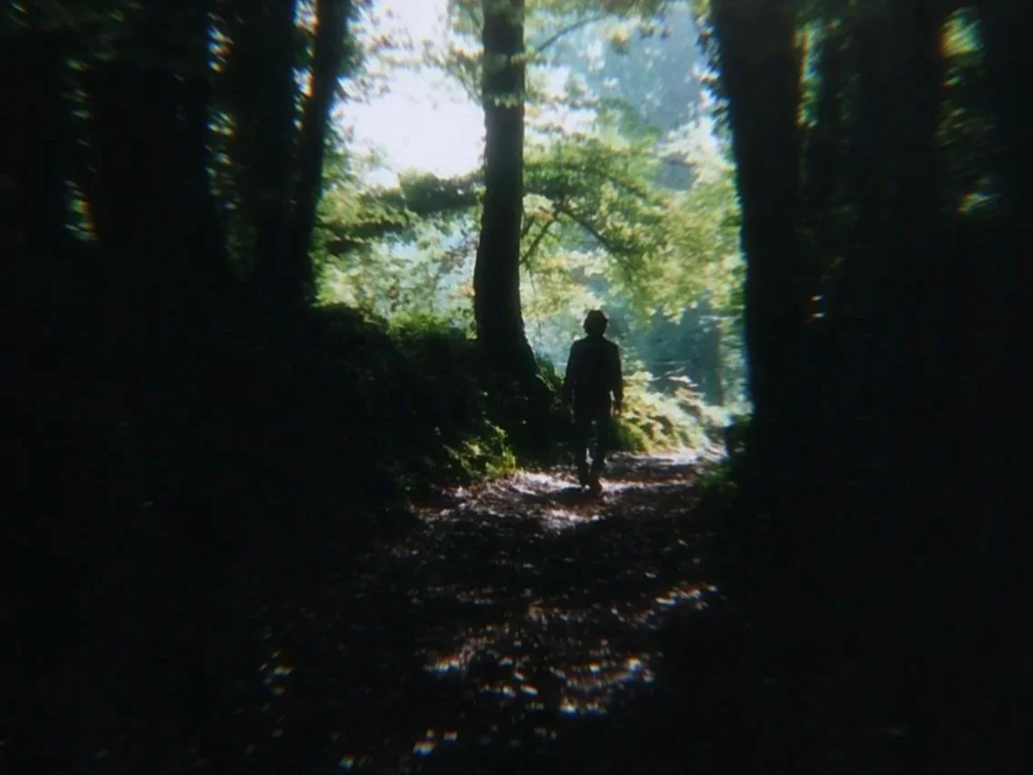 La fageda d'en Jordà
