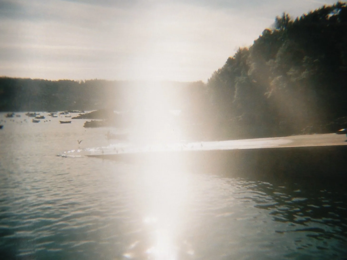 RNI-Films-IMG-F165A5E4-B947-42B4-B70A-7BAEA48E792C.jpg