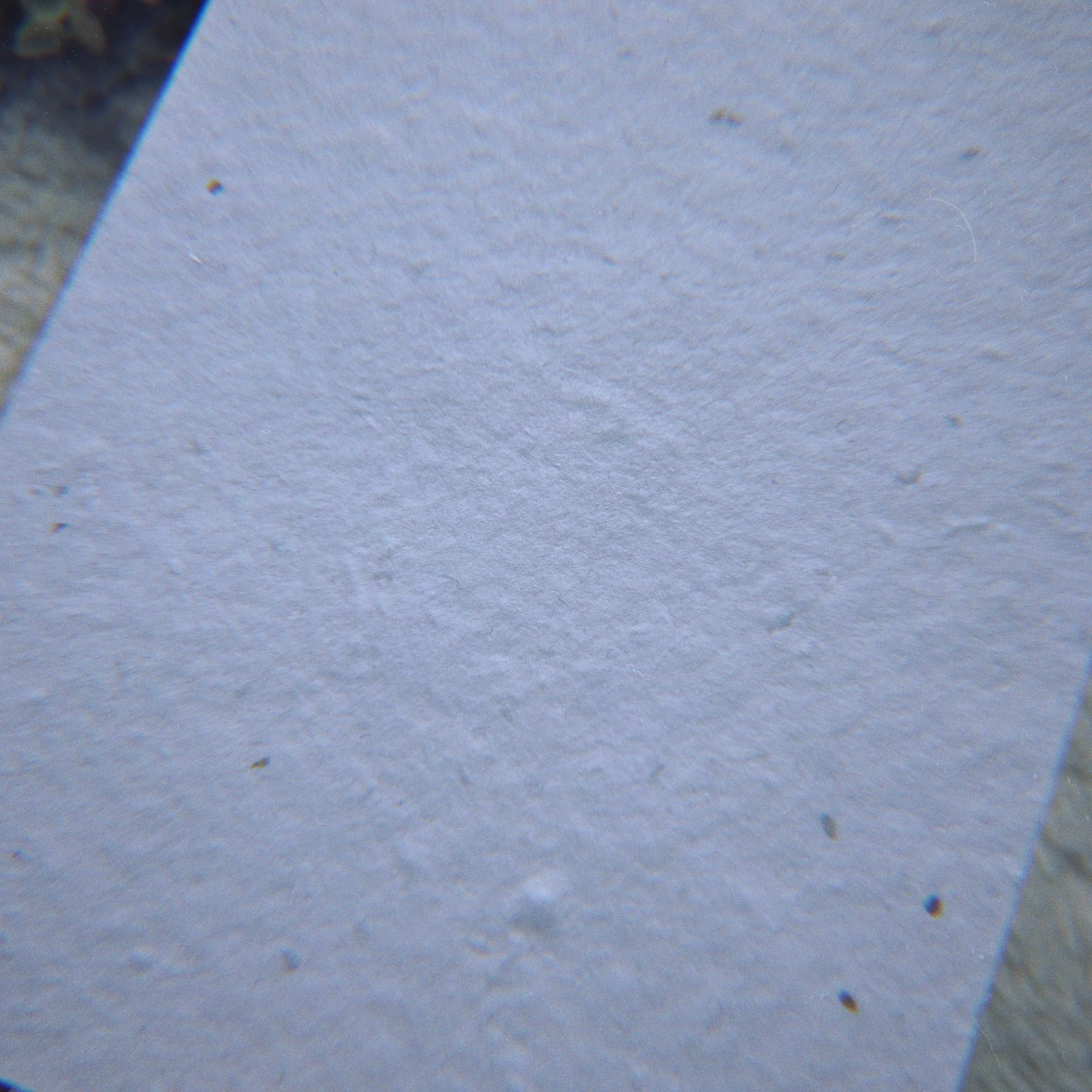 RNI-Films-IMG-CE33BA92-2554-42B1-ABE9-F0C796422C5E.JPG