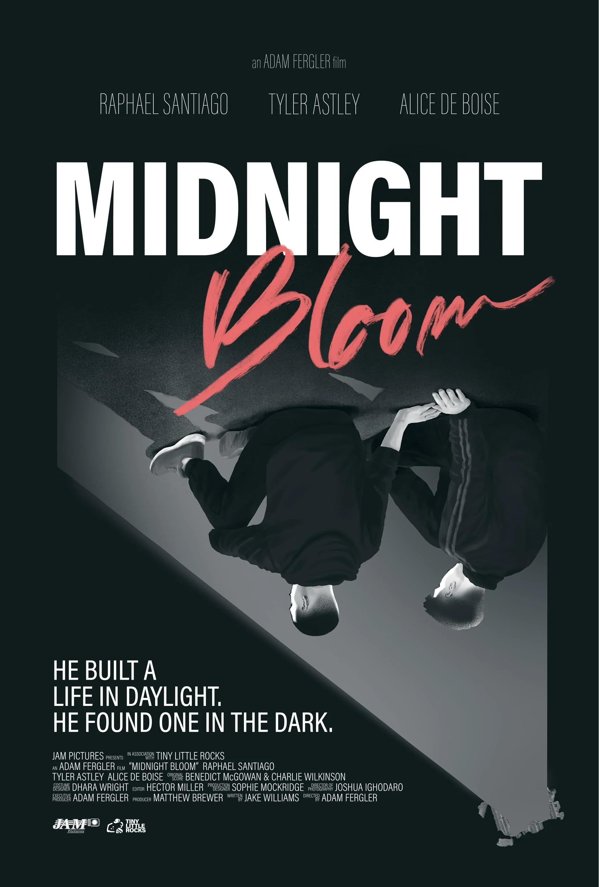 Midnight Bloom.jpg