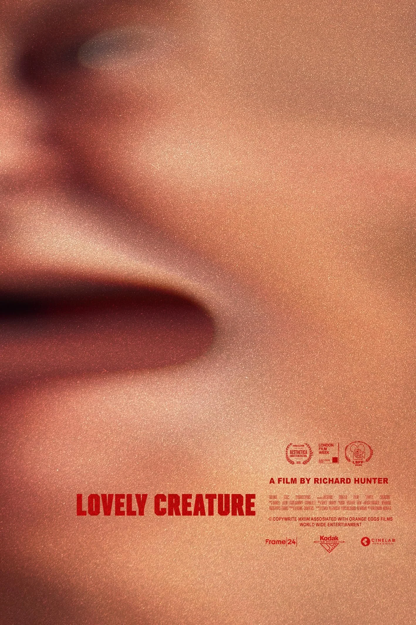 Lovely Creature.jpg
