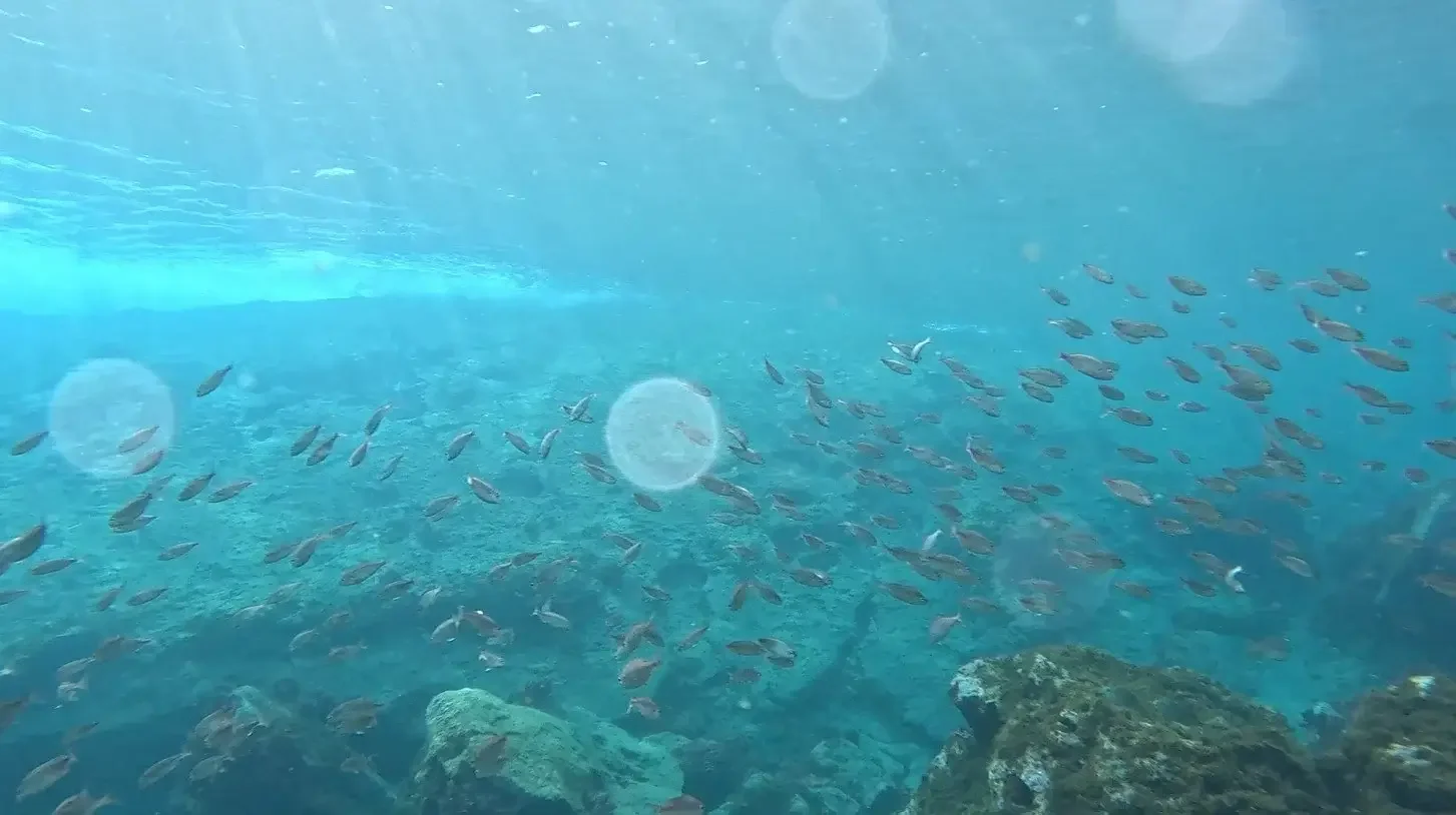 Connecting with Water Workshop - In Person in Azores