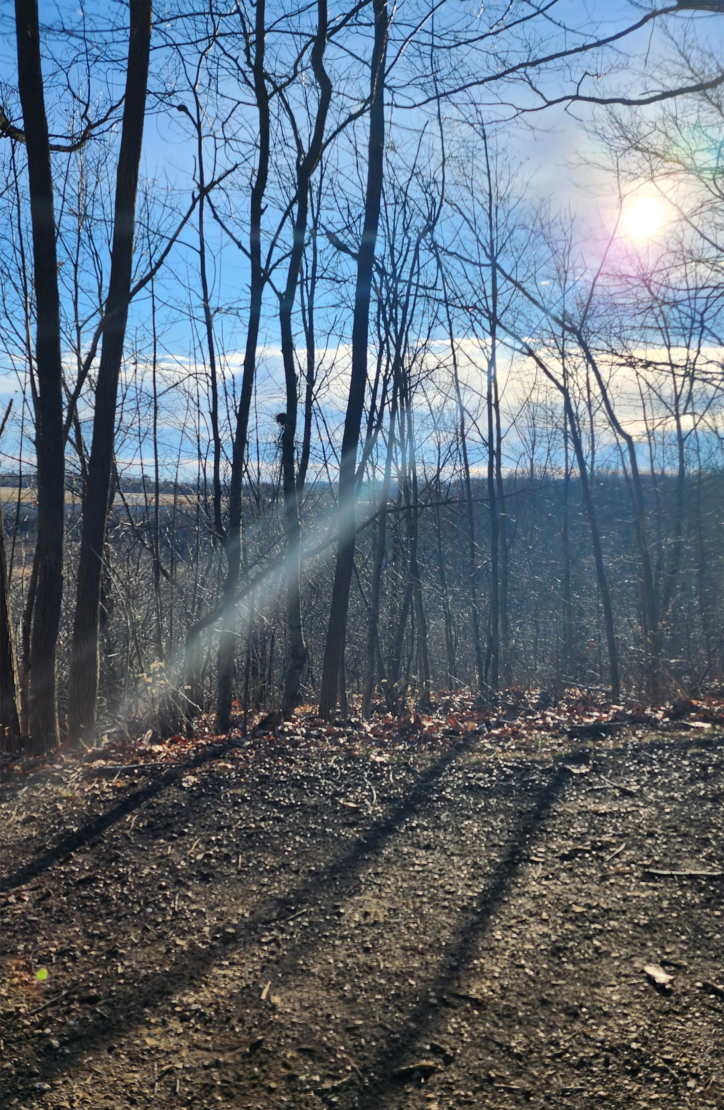 Oak Crest Disc Golf - Sandwich MA