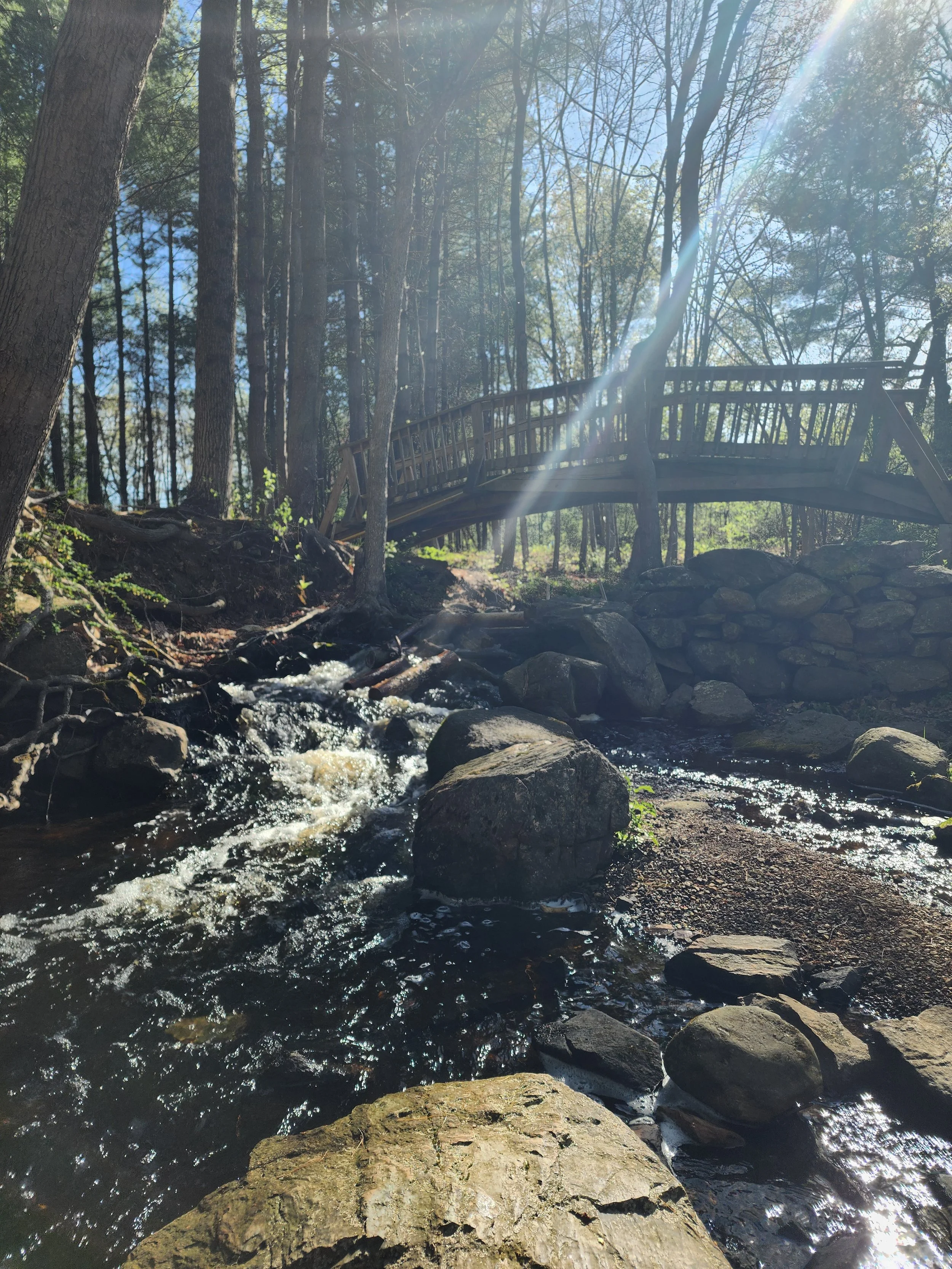 Dacey Fields Disc Golf - Franklin MA