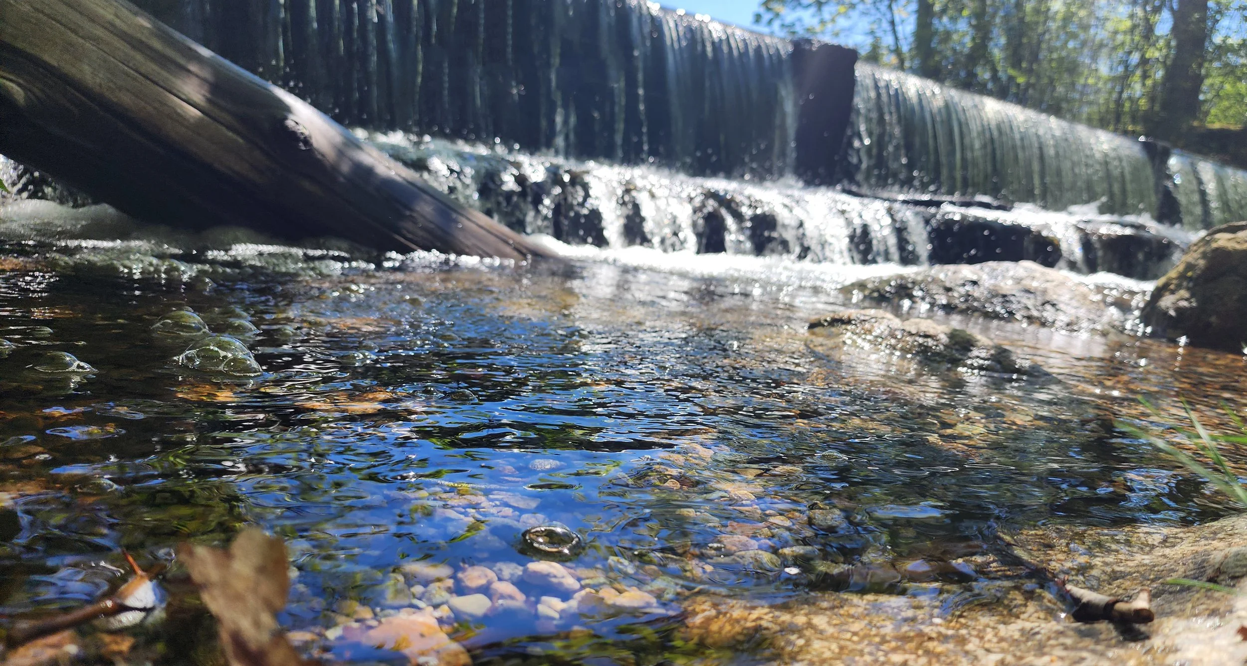 Borderland State Park - Easton MA