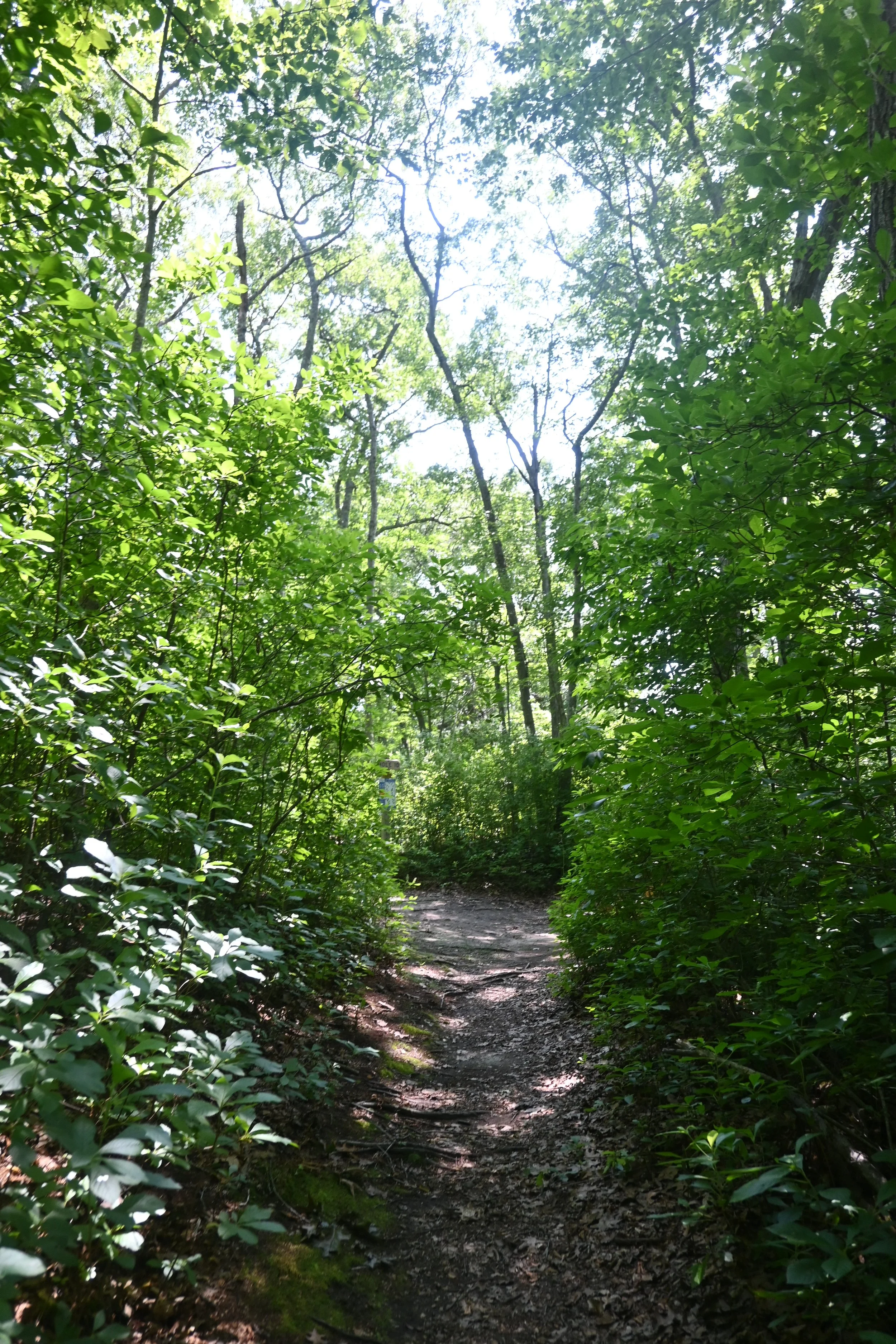 Curtis Corner Disc Golf - South Kingstown RI