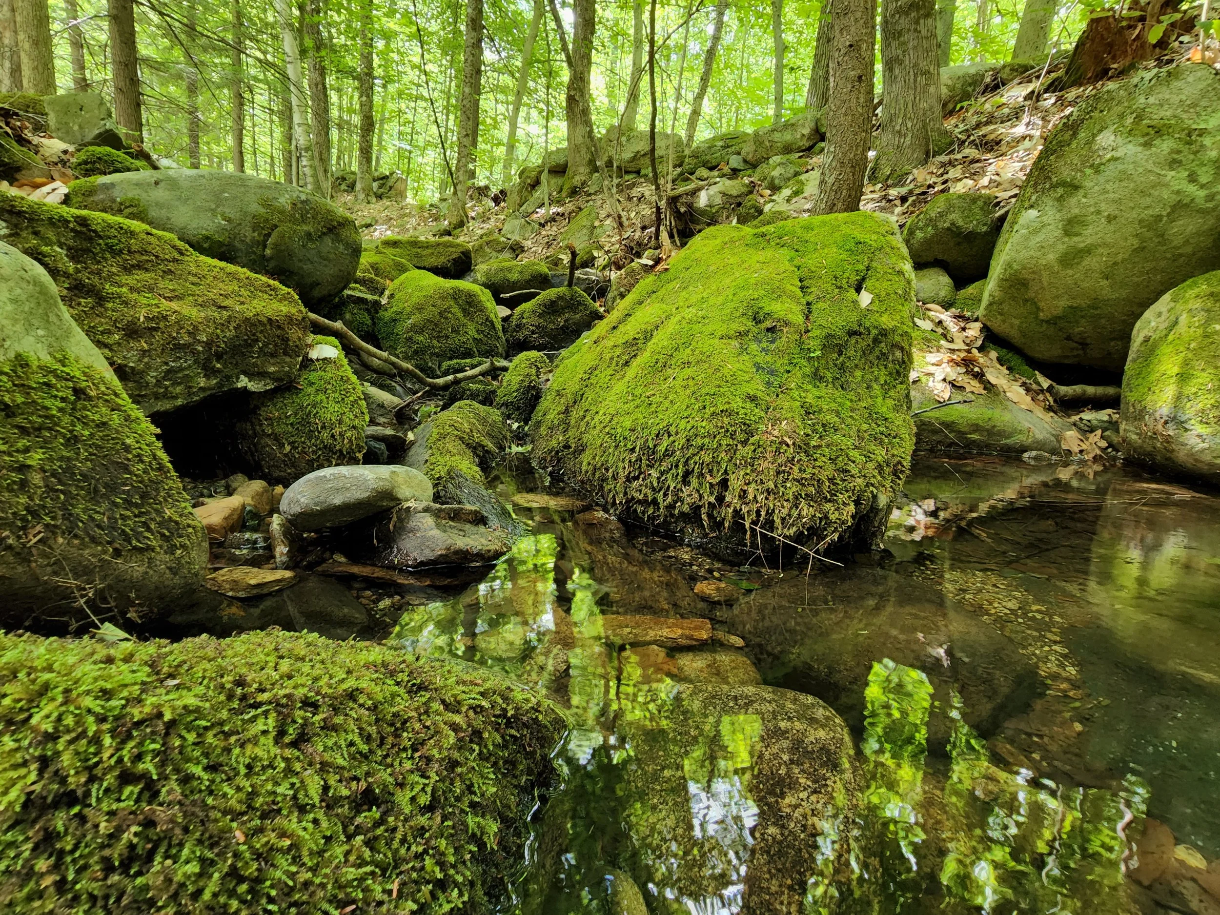 Moose Mountain Recreation - Brookfield NH