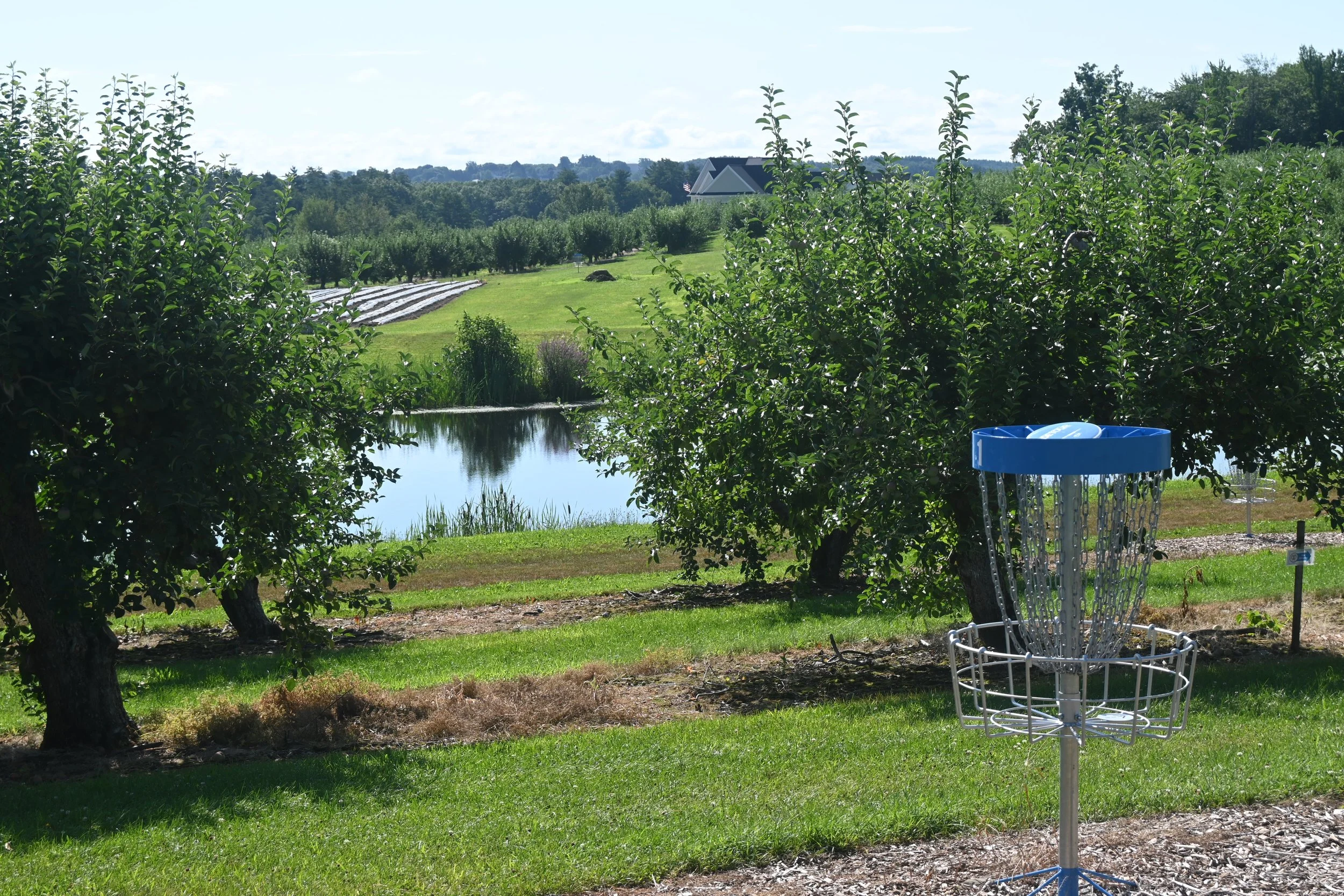 Meadowbrook Orchards - Sterling MA