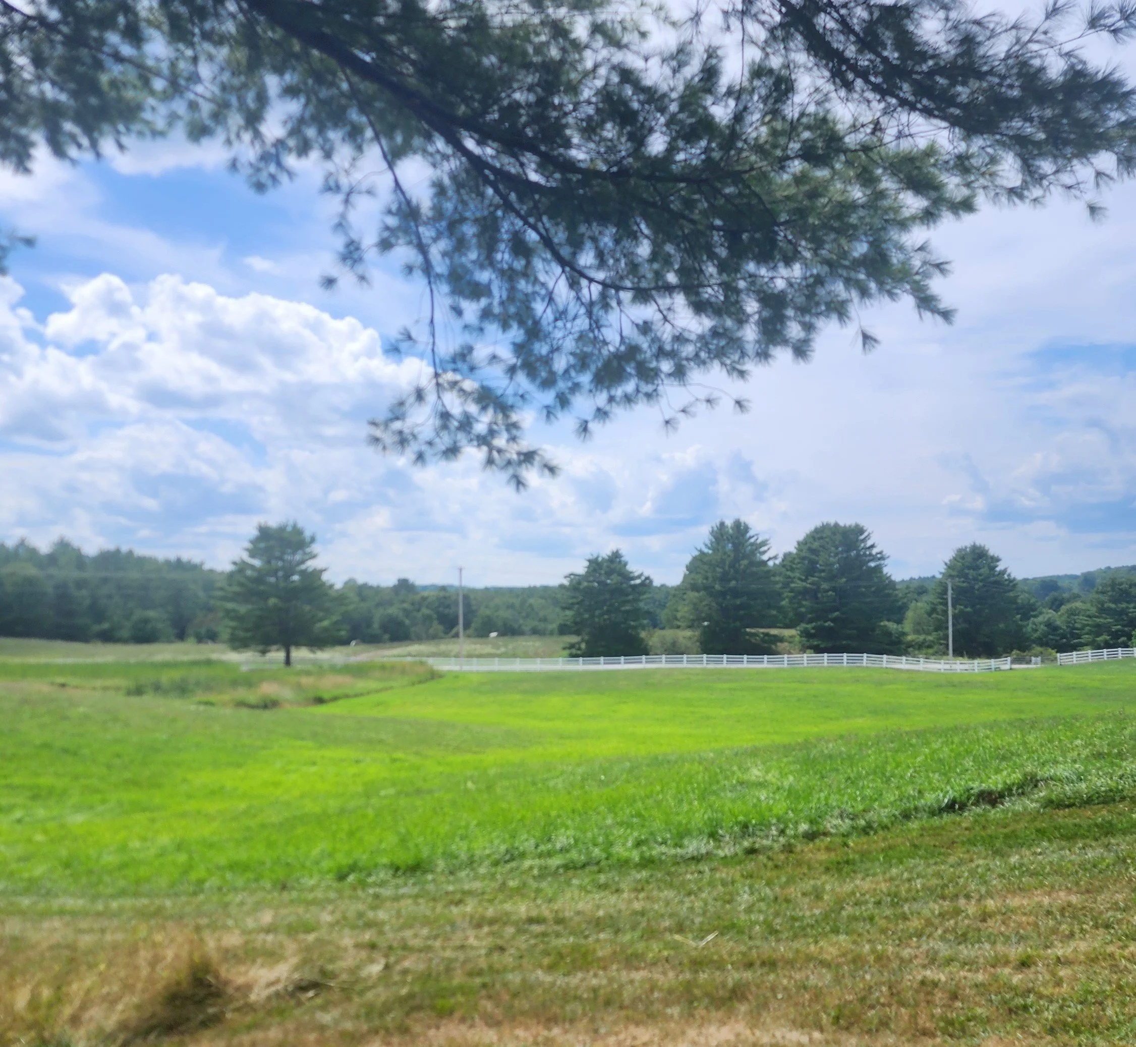 Pineland Farms Disc Golf - New Gloucester ME